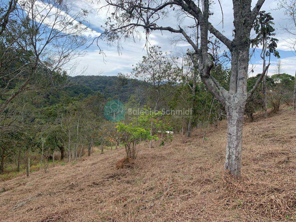 Terreno em Santo Antônio do Pinhal, no bairro Proximo Ao Centro