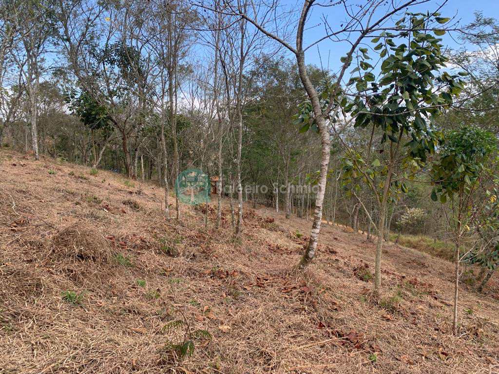 Terreno em Santo Antônio do Pinhal, no bairro Proximo Ao Centro