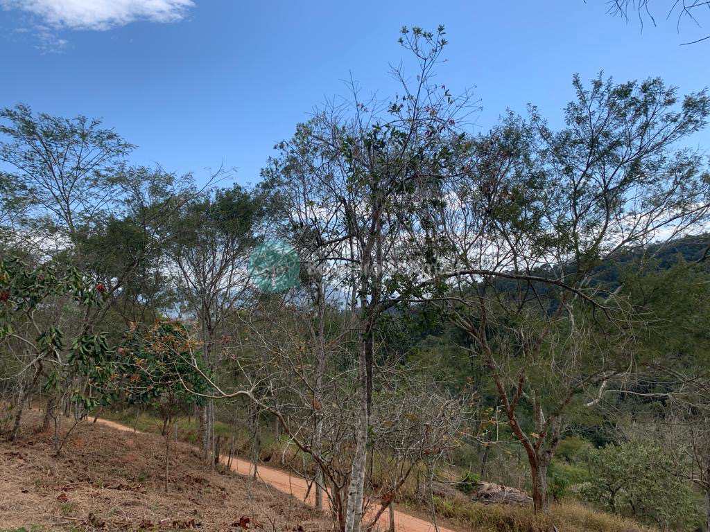Terreno em Santo Antônio do Pinhal, no bairro Proximo Ao Centro
