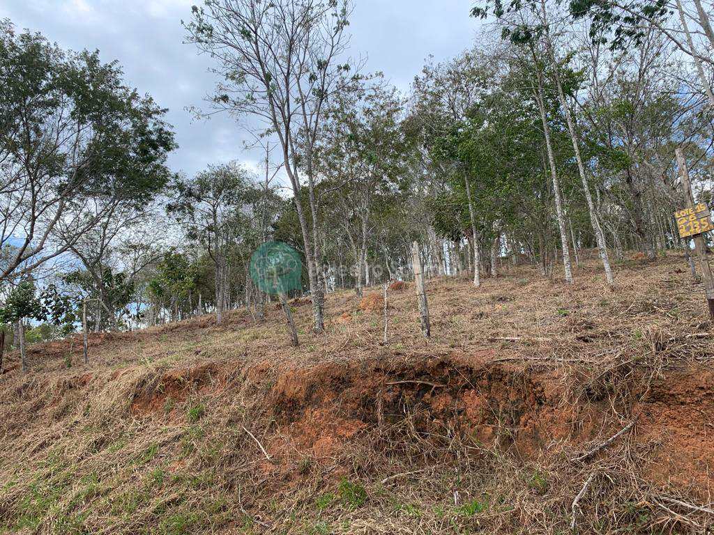 Terreno em Santo Antônio do Pinhal, no bairro Proximo Ao Centro