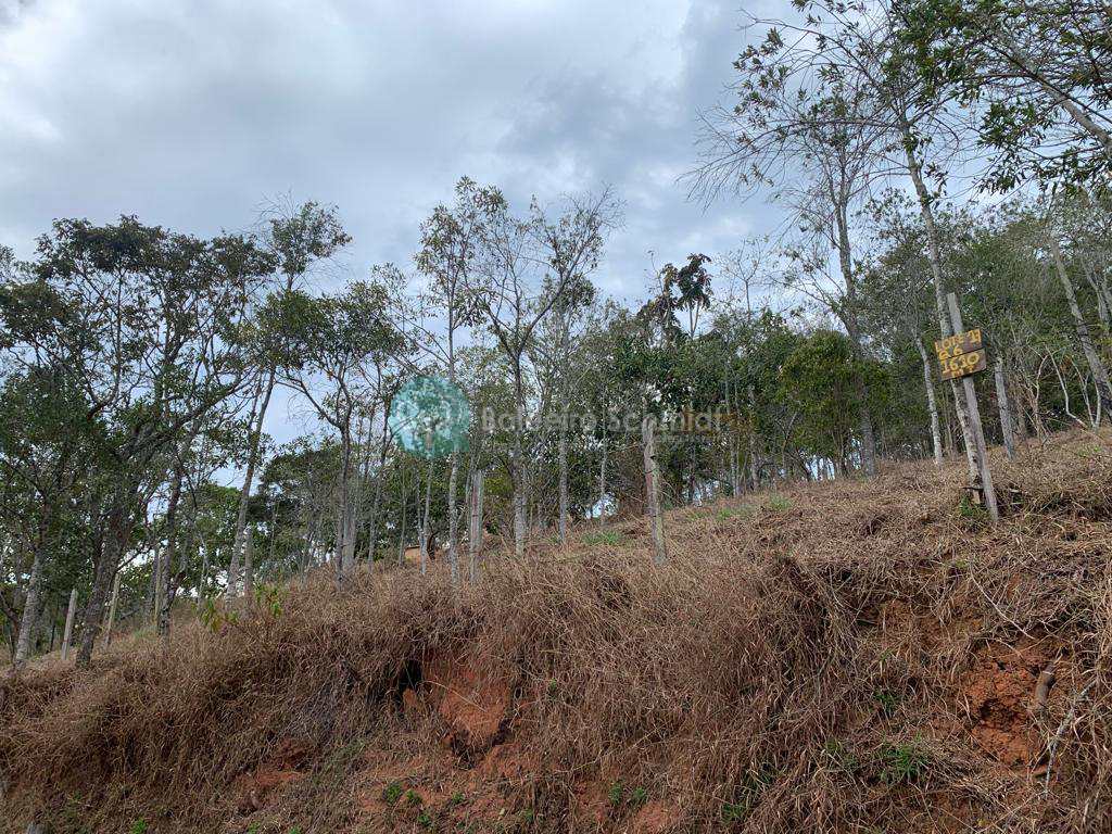 Terreno em Santo Antônio do Pinhal, no bairro Proximo Ao Centro