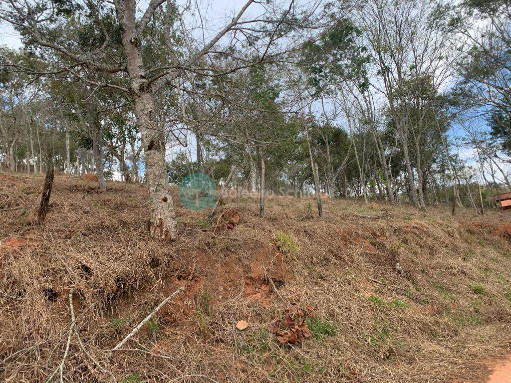Terreno em Santo Antônio do Pinhal, no bairro Proximo Ao Centro