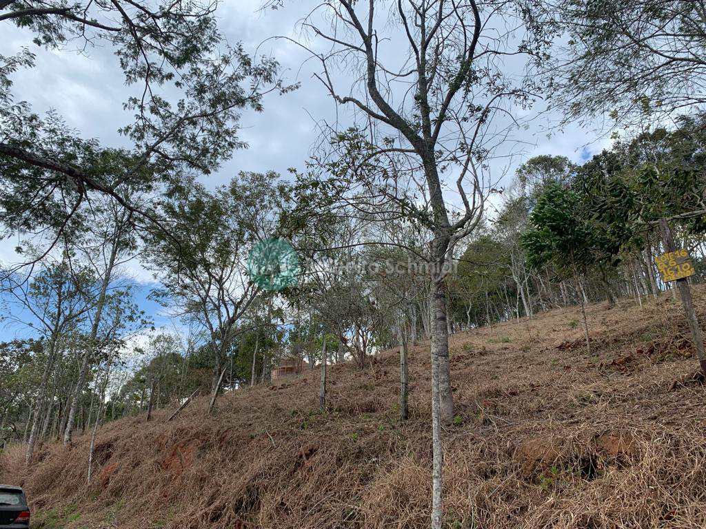 Terreno em Santo Antônio do Pinhal, no bairro Proximo Ao Centro