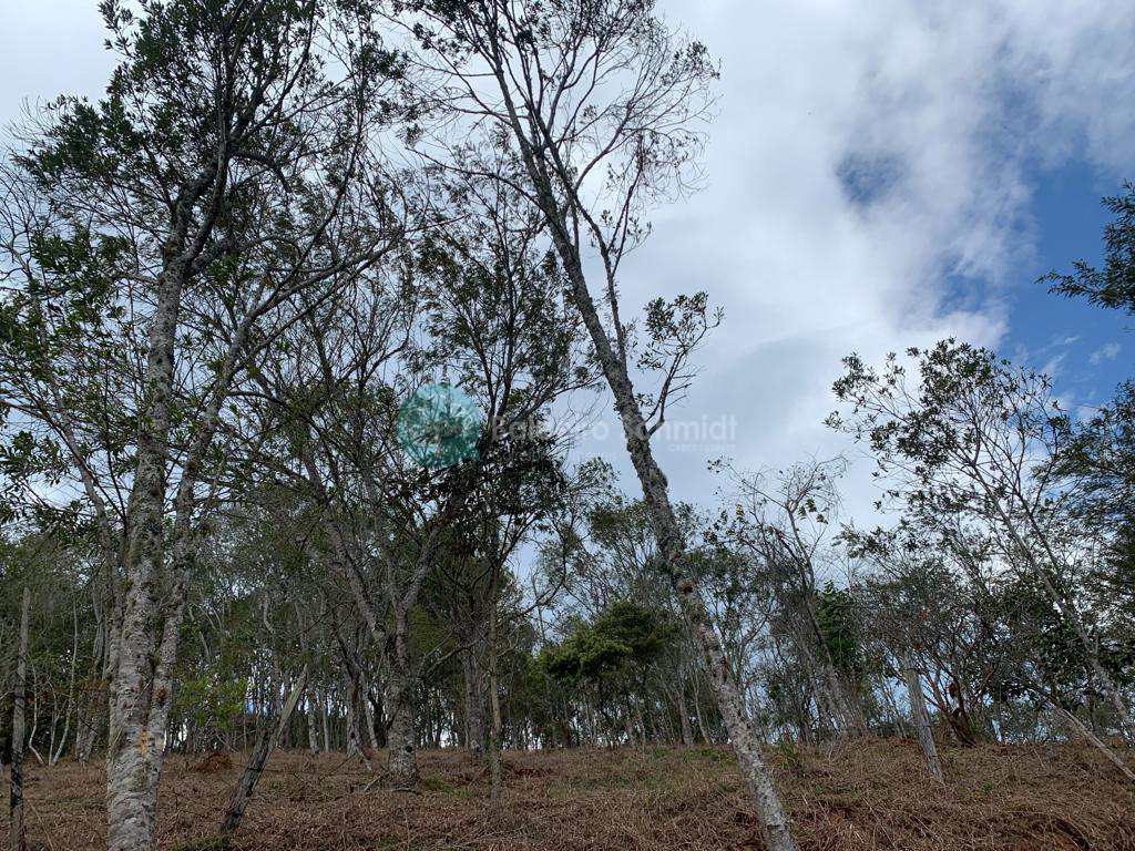 Terreno em Santo Antônio do Pinhal, no bairro Proximo Ao Centro