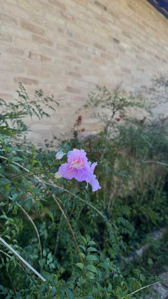 Casa de Condomínio em Santo Antônio do Pinhal, no bairro Condomínio Parque da Mantiqueira