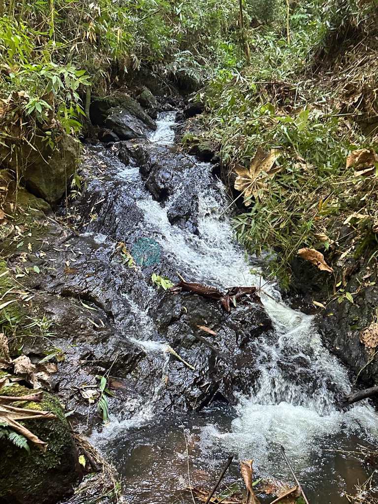 Sítio em Santo Antônio do Pinhal, no bairro 7 Km do Centro
