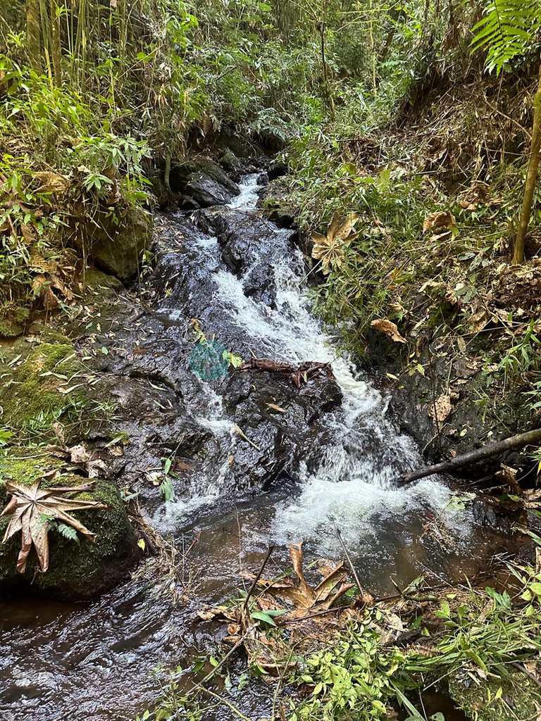 Sítio em Santo Antônio do Pinhal, no bairro 7 Km do Centro