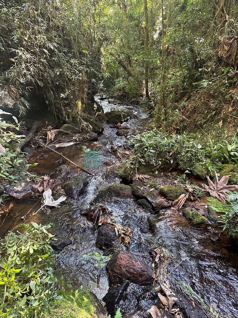 Sítio em Santo Antônio do Pinhal, no bairro 7 Km do Centro