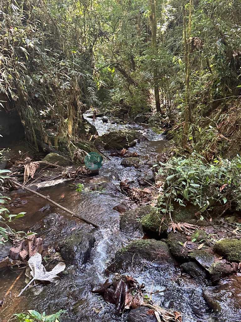 Sítio em Santo Antônio do Pinhal, no bairro 7 Km do Centro