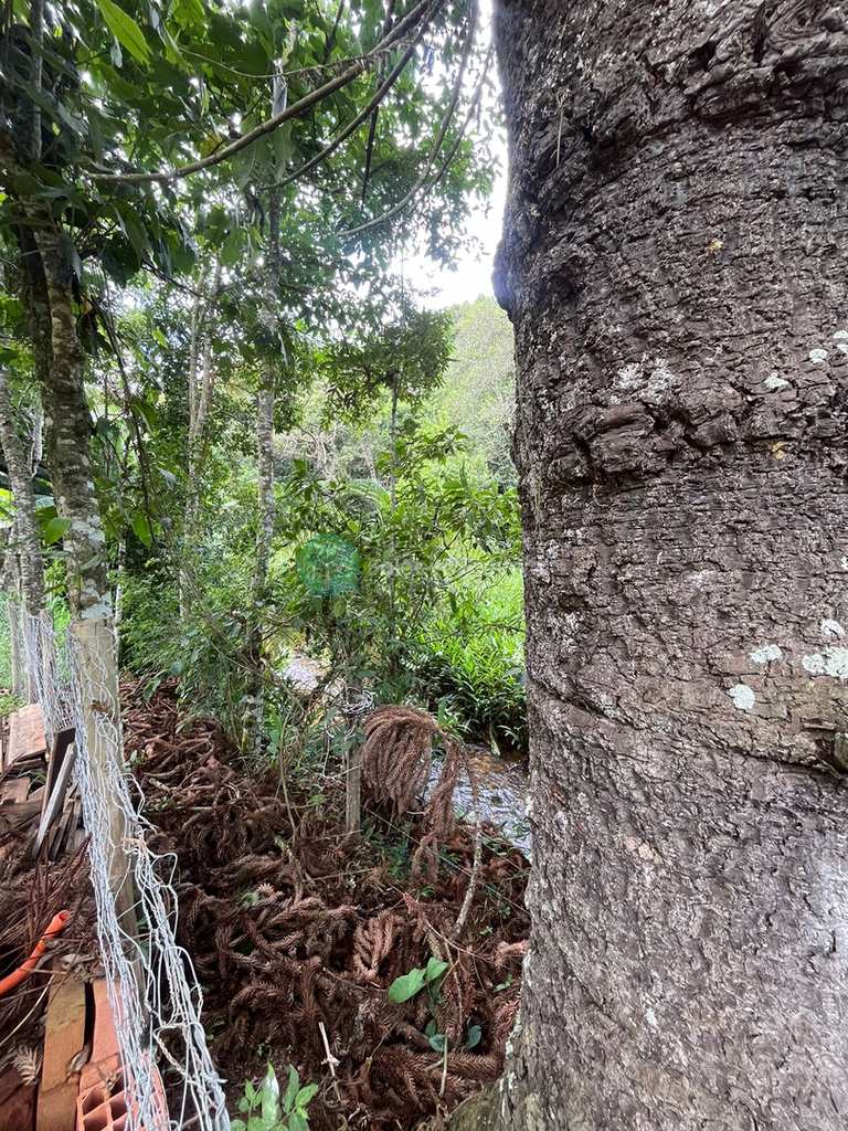 Casa em Santo Antônio do Pinhal, no bairro Proximo Ao Centro