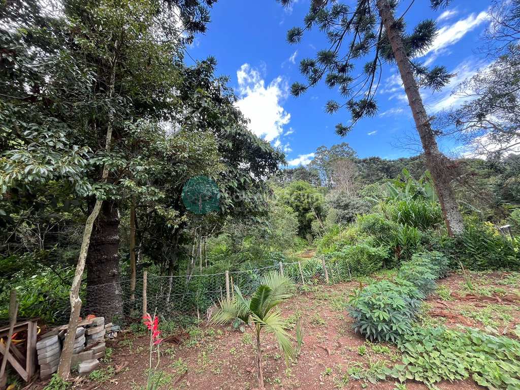 Casa em Santo Antônio do Pinhal, no bairro Proximo Ao Centro