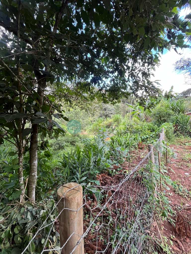 Casa em Santo Antônio do Pinhal, no bairro Proximo Ao Centro