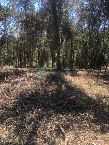 Terreno, código 1069 em Santo Antônio do Pinhal, bairro 10 Km do Centro