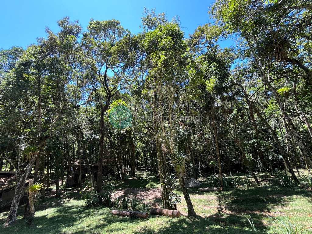 Sítio em Santo Antônio do Pinhal, no bairro Aprox 7 Km do Centro