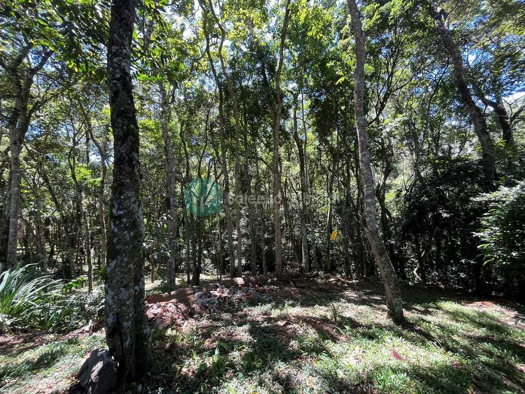 Sítio em Santo Antônio do Pinhal, no bairro Aprox 7 Km do Centro