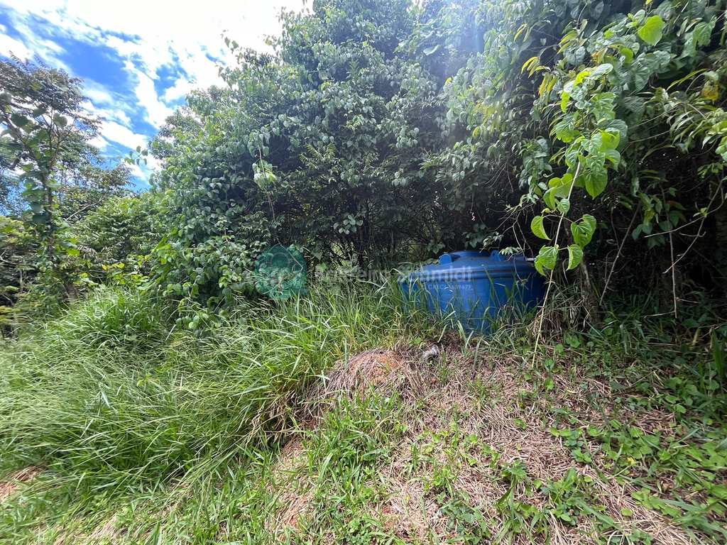Sítio em Santo Antônio do Pinhal, no bairro Aprox 7 Km do Centro