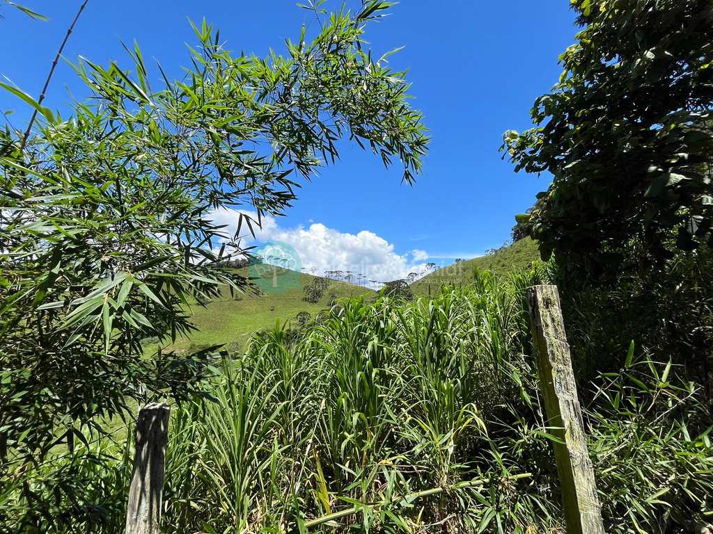 Sítio em Santo Antônio do Pinhal, no bairro Aprox 7 Km do Centro