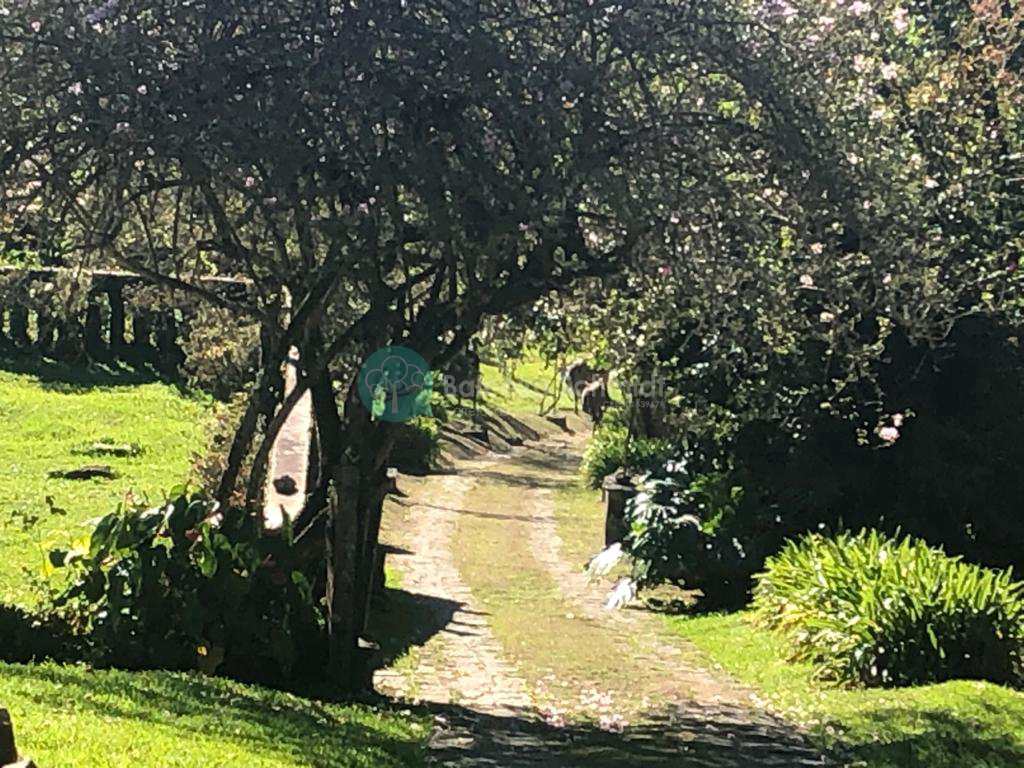Casa em Santo Antônio do Pinhal, no bairro Rural