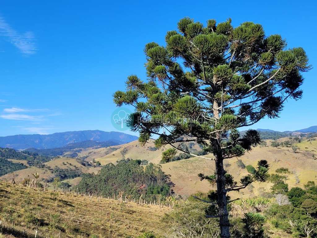 Terreno Rural em Santo Antônio do Pinhal, no bairro Rural