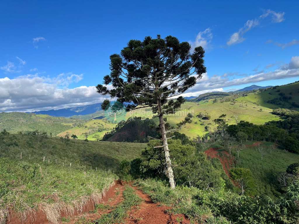 Terreno Rural em Santo Antônio do Pinhal, no bairro Rural