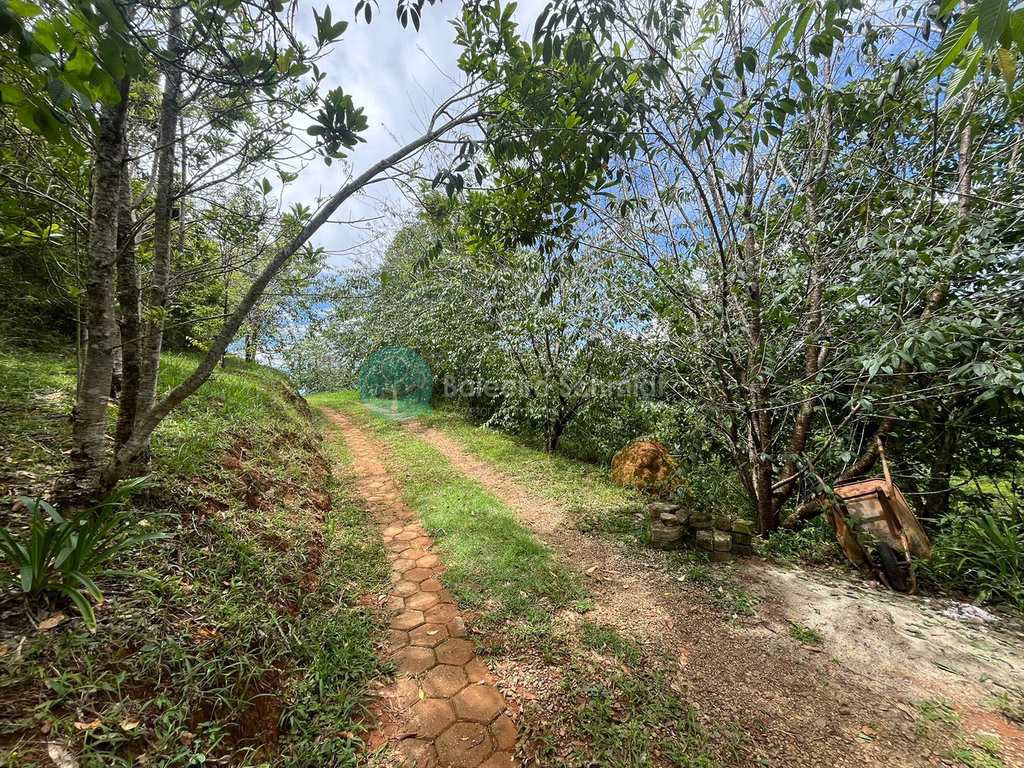 Sítio em Santo Antônio do Pinhal, no bairro Aprox 7 Km do Centro