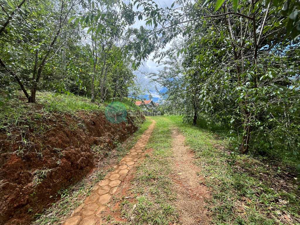 Sítio em Santo Antônio do Pinhal, no bairro Aprox 7 Km do Centro