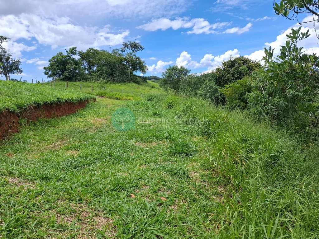 Sítio em Santo Antônio do Pinhal, no bairro Aprox 7 Km do Centro