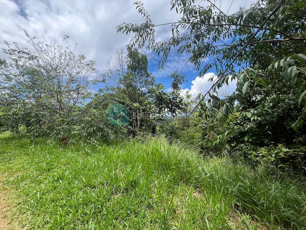 Sítio em Santo Antônio do Pinhal, no bairro Aprox 7 Km do Centro