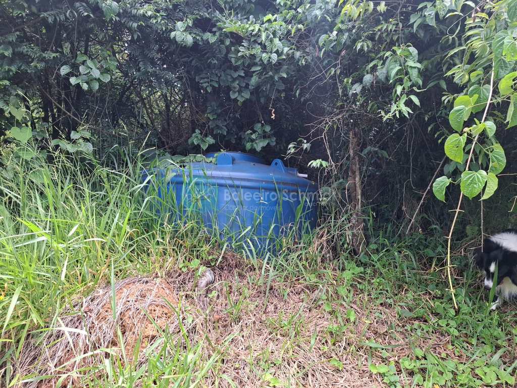 Sítio em Santo Antônio do Pinhal, no bairro Aprox 7 Km do Centro