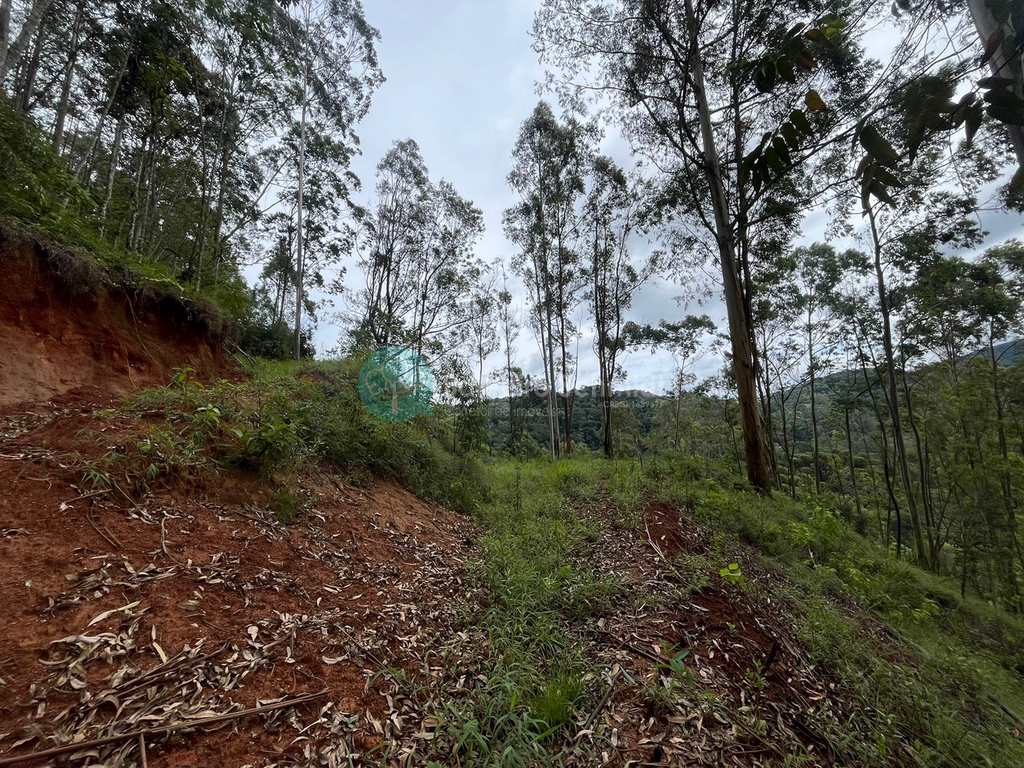 Terreno em Santo Antônio do Pinhal, no bairro Proximo Ao Centro