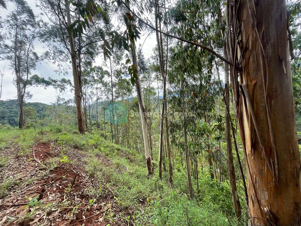 Terreno em Santo Antônio do Pinhal, no bairro Proximo Ao Centro