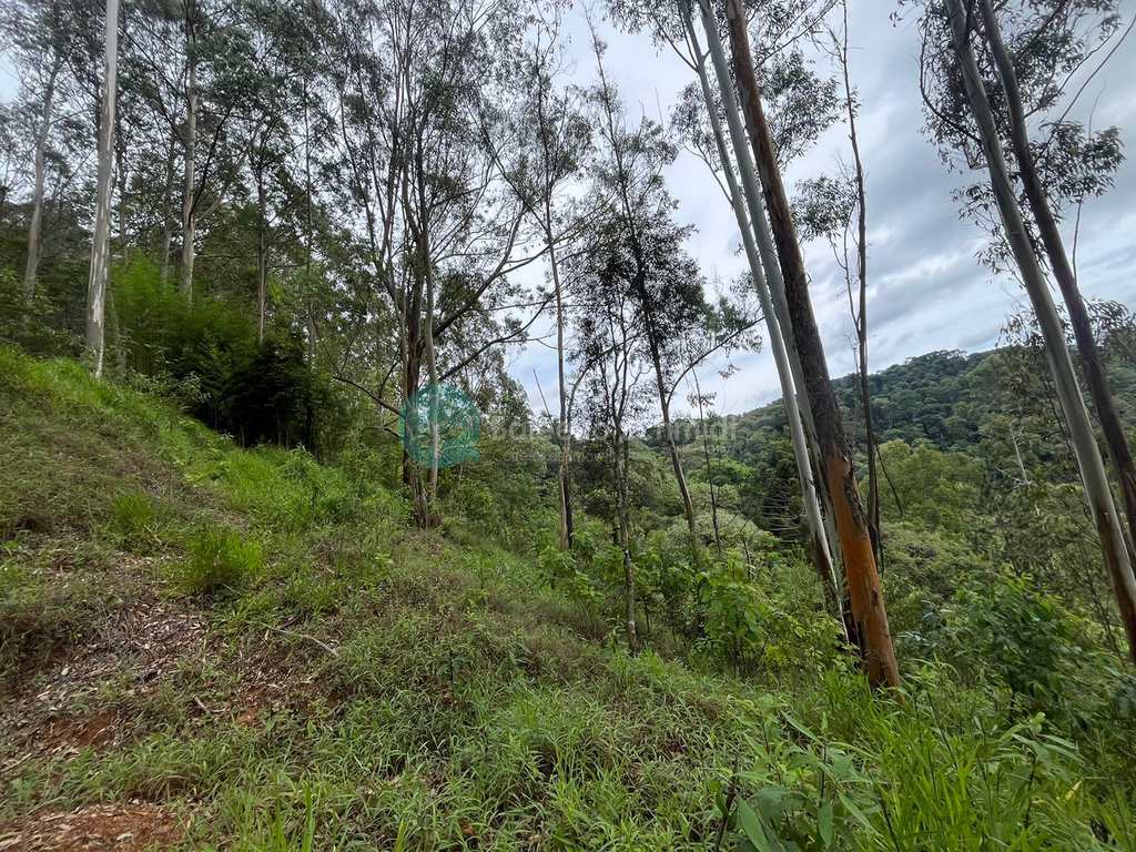Terreno em Santo Antônio do Pinhal, no bairro Proximo Ao Centro