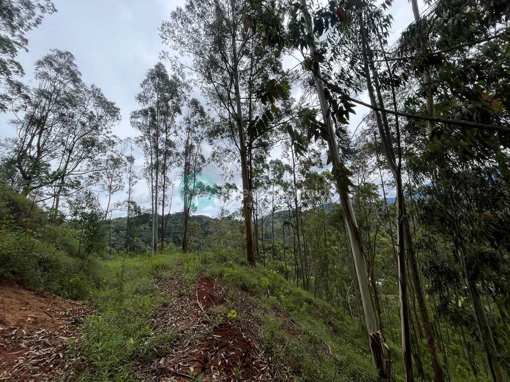 Terreno em Santo Antônio do Pinhal, no bairro Proximo Ao Centro
