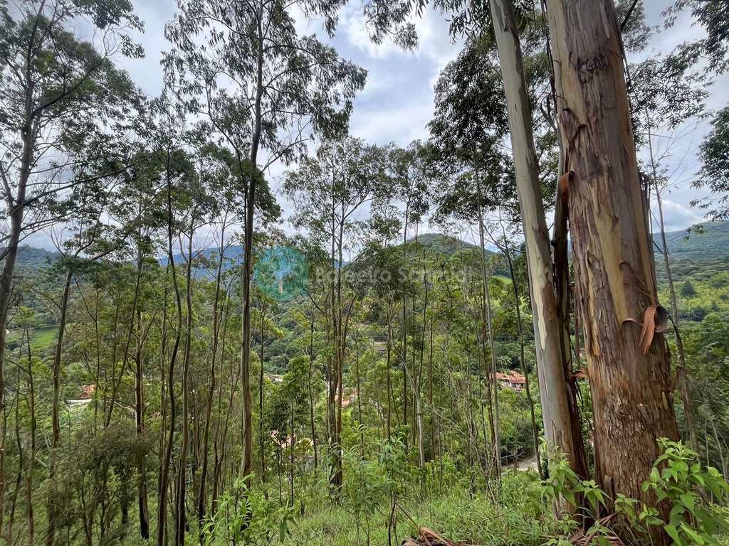 Terreno em Santo Antônio do Pinhal, no bairro Proximo Ao Centro
