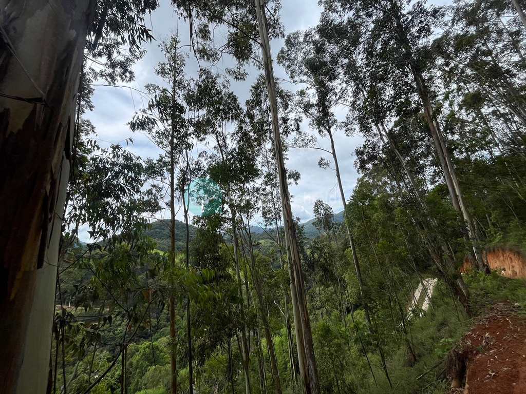 Terreno em Santo Antônio do Pinhal, no bairro Proximo Ao Centro