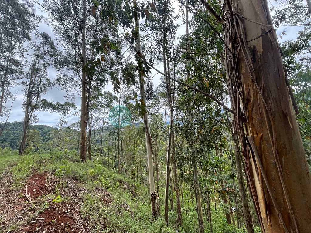 Terreno em Santo Antônio do Pinhal, no bairro Proximo Ao Centro