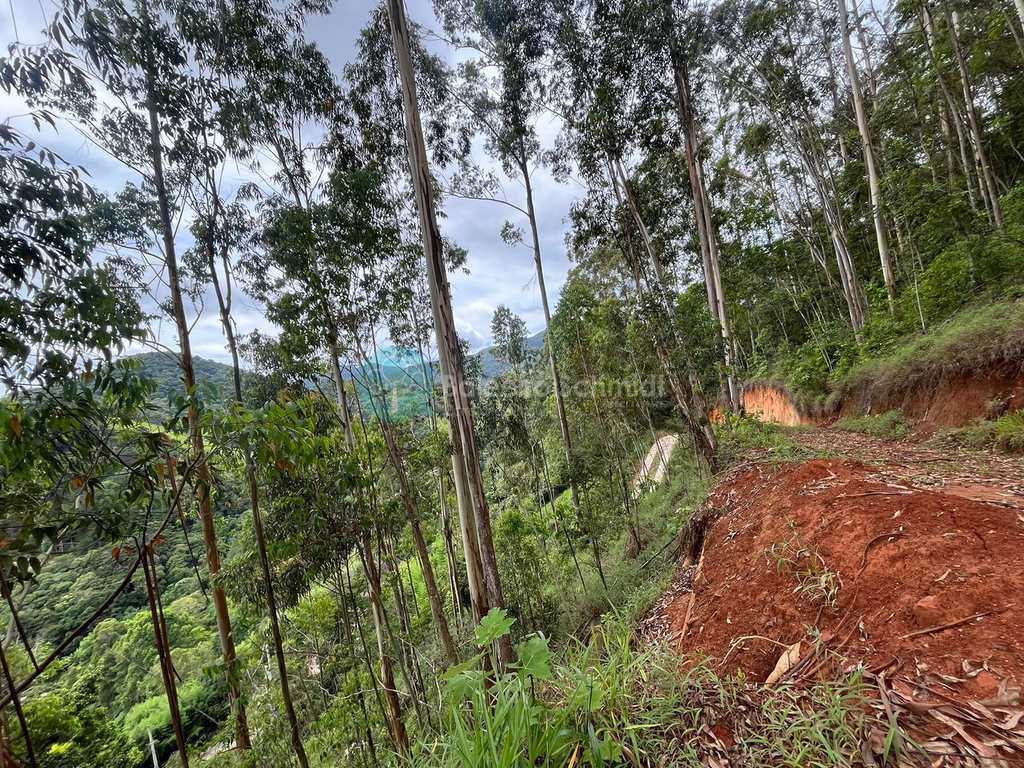 Terreno em Santo Antônio do Pinhal, no bairro Proximo Ao Centro