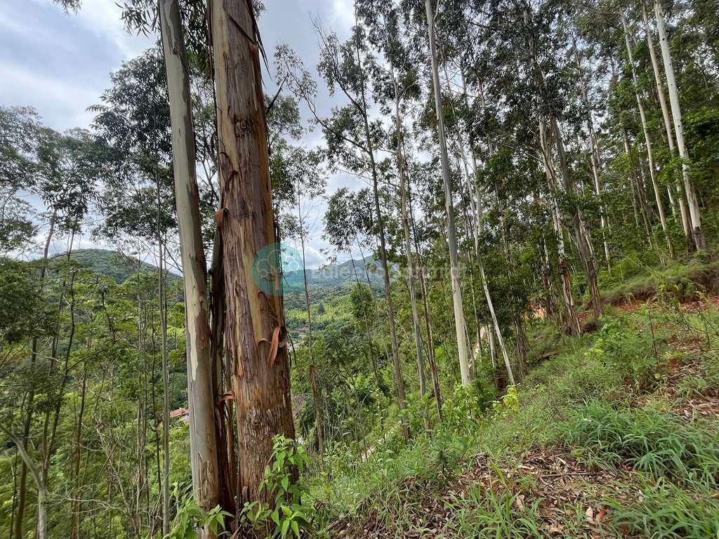 Terreno em Santo Antônio do Pinhal, no bairro Proximo Ao Centro
