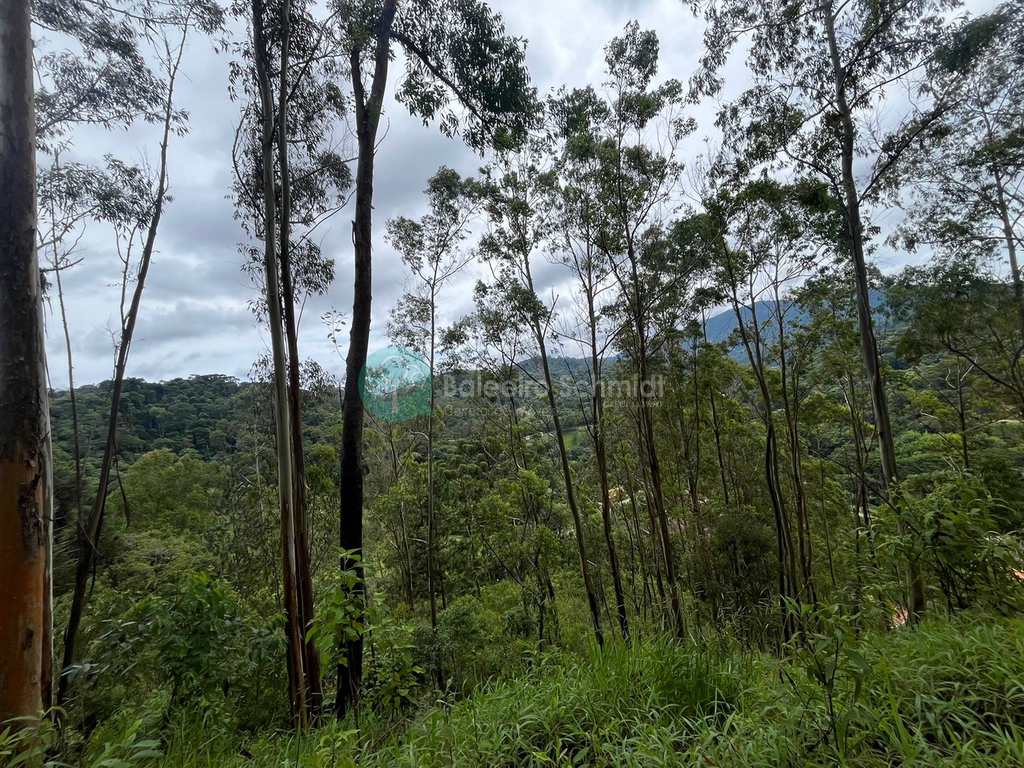 Terreno em Santo Antônio do Pinhal, no bairro Proximo Ao Centro