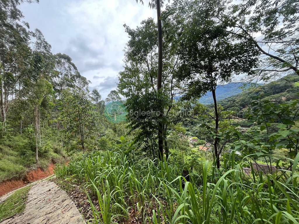 Terreno em Santo Antônio do Pinhal, no bairro Proximo Ao Centro