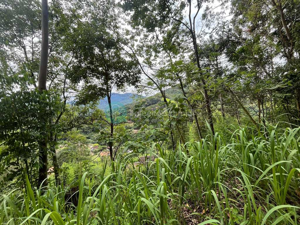 Terreno em Santo Antônio do Pinhal, no bairro Proximo Ao Centro