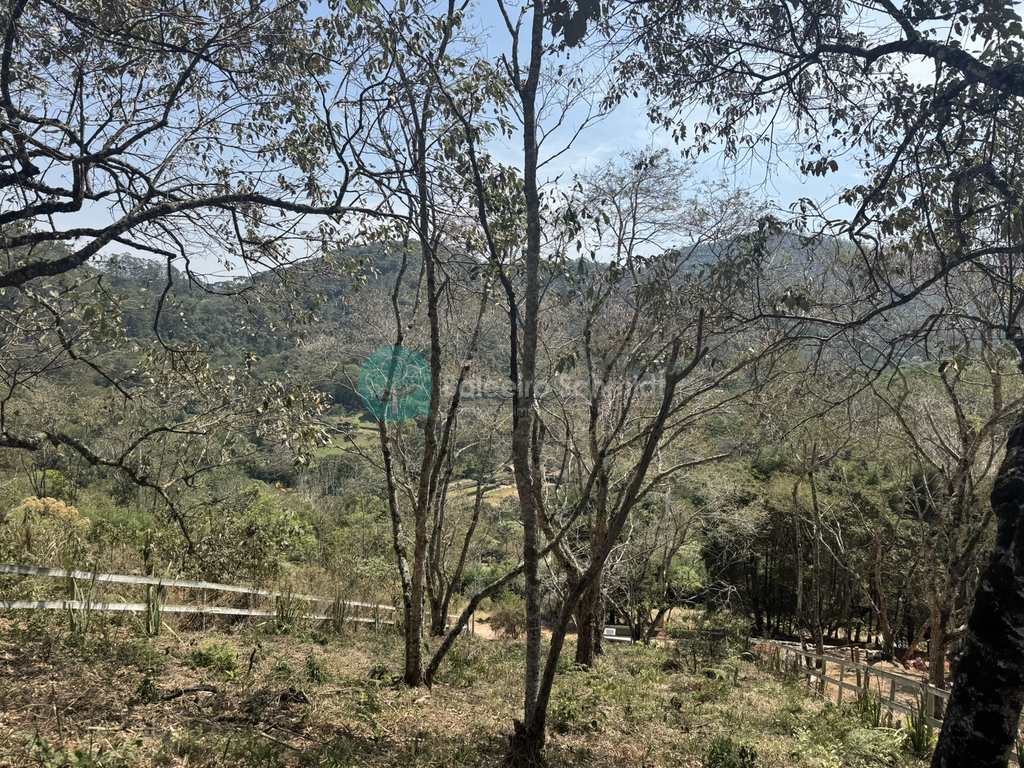 Terreno em Santo Antônio do Pinhal, no bairro Proximo Ao Centro