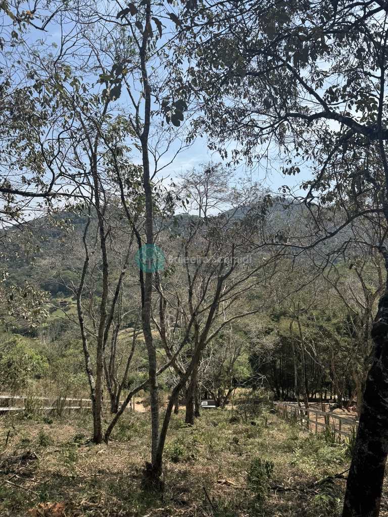 Terreno em Santo Antônio do Pinhal, no bairro Proximo Ao Centro