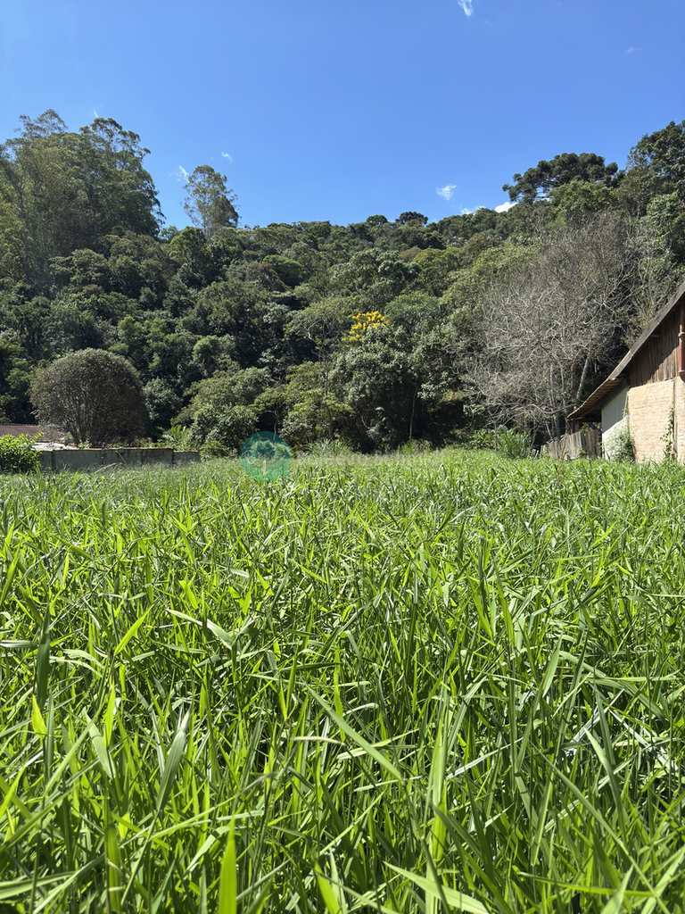 Sítio em Santo Antônio do Pinhal, no bairro Proximo Ao Centro