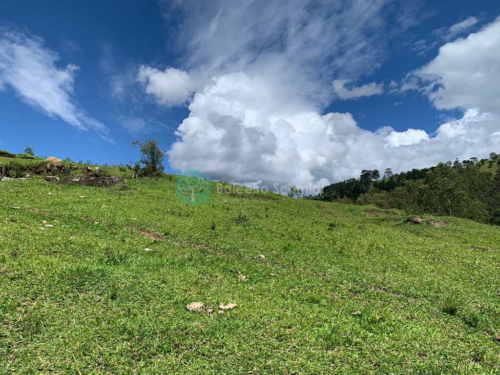 Sítio em Santo Antônio do Pinhal, no bairro Rural