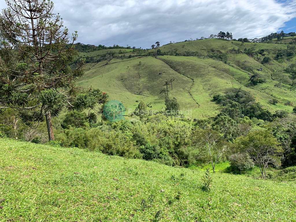 Sítio em Santo Antônio do Pinhal, no bairro Rural