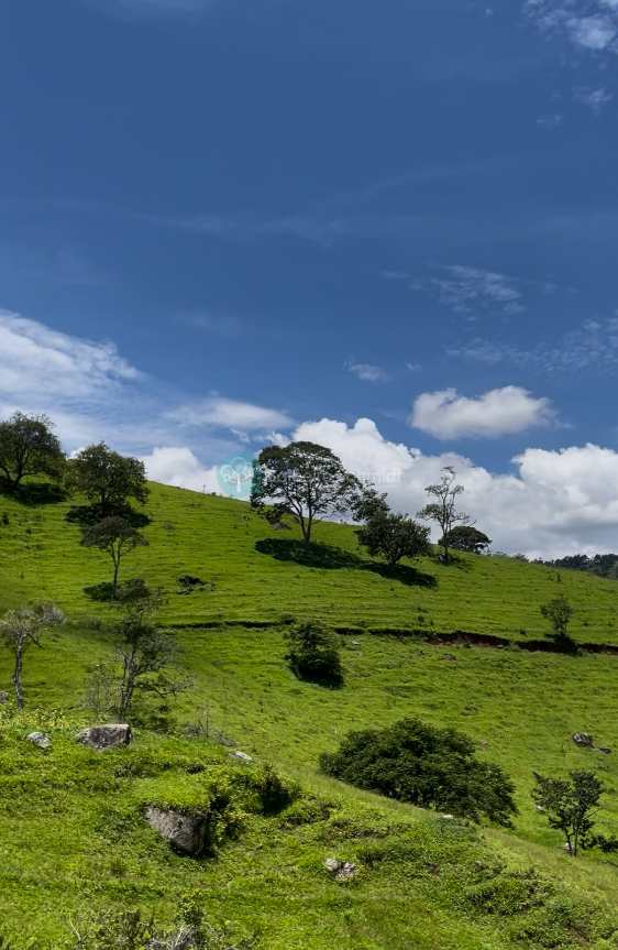 Sítio em Santo Antônio do Pinhal, no bairro Rural