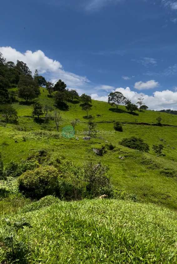 Sítio em Santo Antônio do Pinhal, no bairro Rural