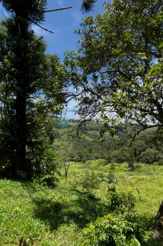 Sítio em Santo Antônio do Pinhal, no bairro Rural