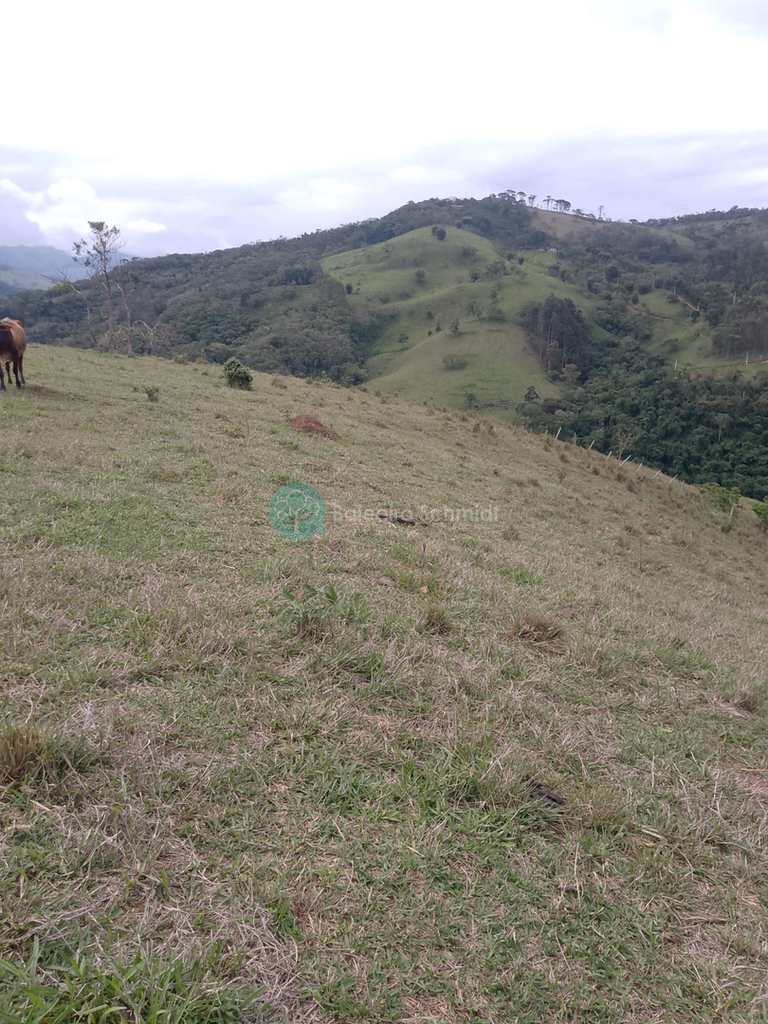 Sítio em Santo Antônio do Pinhal, no bairro Rural